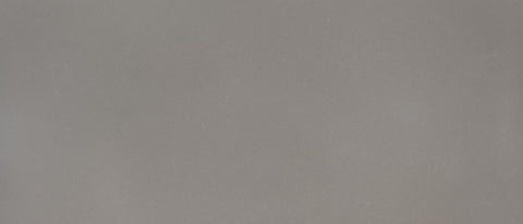 MSI Fossil Gray - Quartz Slab