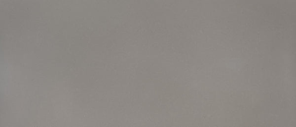 MSI Fossil Gray - Quartz Slab