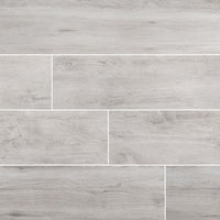 MSI Lucas Canitia Porcelain Paver 20mm exterior porcelain paver freeze-thaw stable