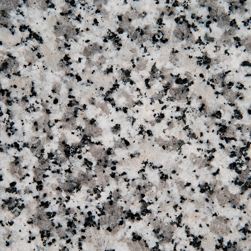 MSI Luna Pearl - Granite Slab