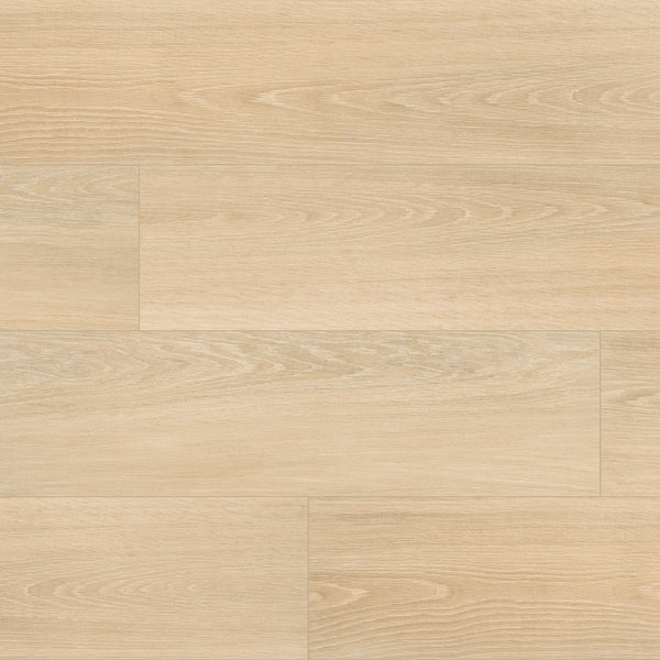 MSI Placero Oak 10 x 60 Matte