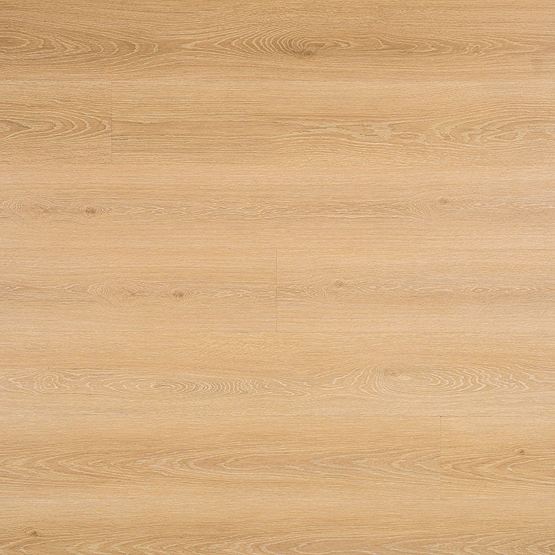 MSI Prescott Valleyview Grove Luxury Vinyl Plank Flooring