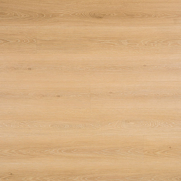 MSI Prescott Valleyview Grove Luxury Vinyl Plank Flooring