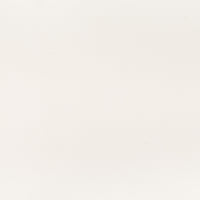 MSI Snow White Quartz — Pre-Fab Countertop in white tonality