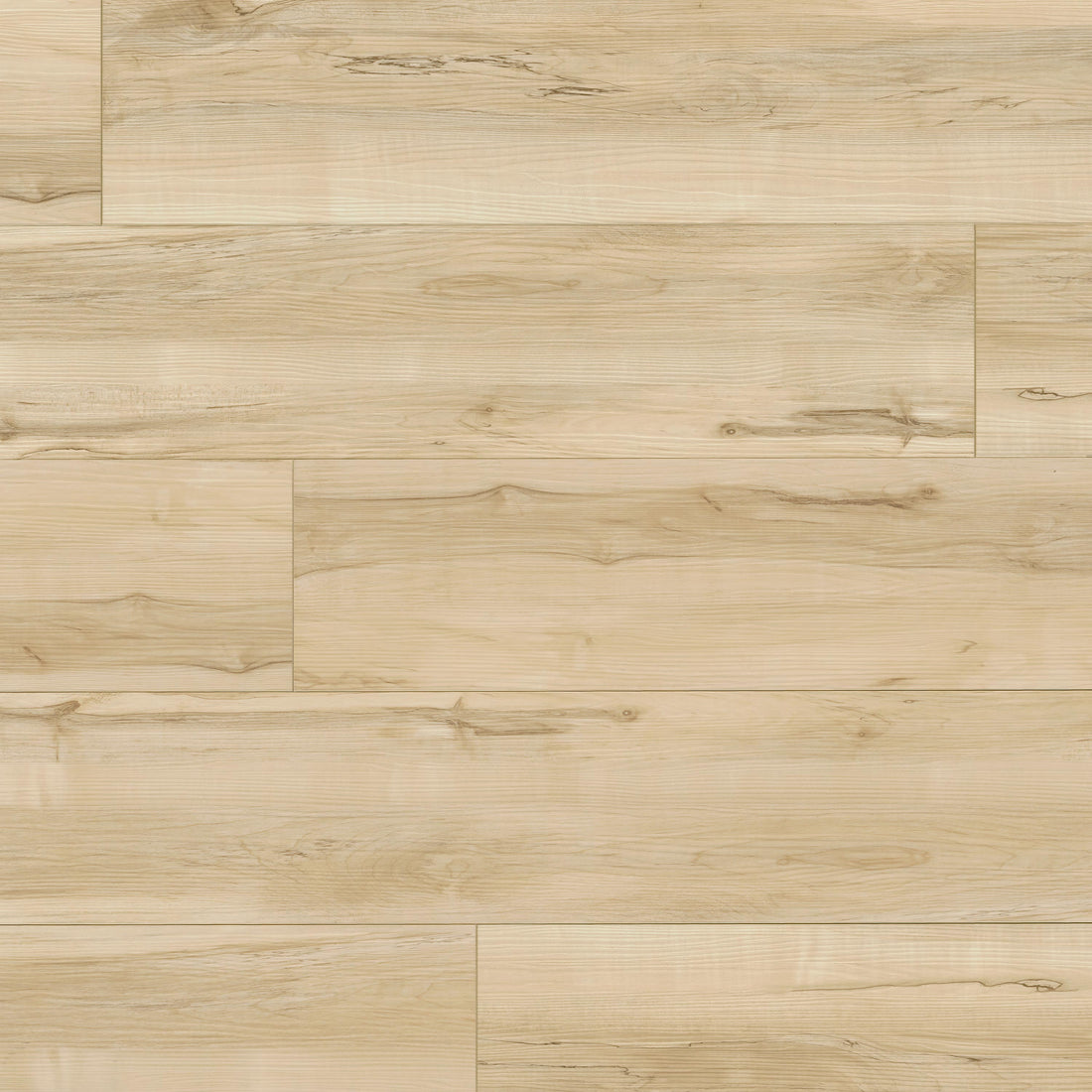 MSI XL Cyrus Akadia Luxury Vinyl Plank Flooring