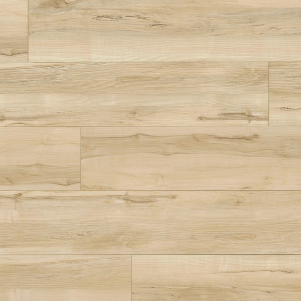 MSI XL Cyrus Akadia Luxury Vinyl Plank Flooring