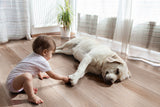 MSI XL Cyrus Whitfield Gray Luxury Vinyl Plank Flooring