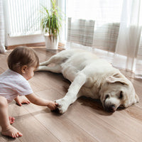 MSI XL Cyrus Whitfield Gray Luxury Vinyl Plank Flooring — surface detail in gray tonality
