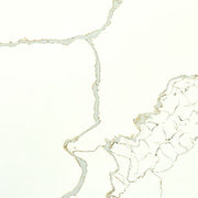 NEW CALACATTA LAZA GOLD QUARTZ