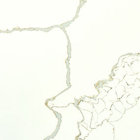 NEW CALACATTA LAZA GOLD QUARTZ