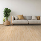 MSI Nove Fallonton Luxury Vinyl Plank Flooring