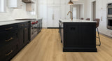 MSI Nove Hyde Haven Luxury Vinyl Plank Flooring