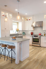 MSI Nove Plus Bayhill Blonde Luxury Vinyl Plank Flooring