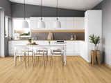 MSI Nove Plus Hyde Haven Luxury Vinyl Plank Flooring
