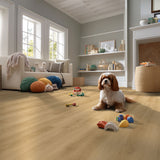 MSI Nove Plus Hyde Haven Luxury Vinyl Plank Flooring
