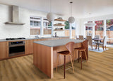 MSI Nove Plus Scandi Luxury Vinyl Plank Flooring