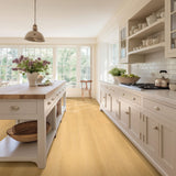 MSI Nove Plus Selbourne Luxury Vinyl Plank Flooring