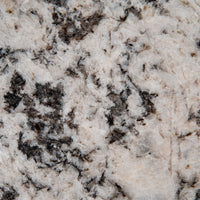 MSI Oyster White — Natural Granite Slab in white tonality quarried slab for kitchen and counter install