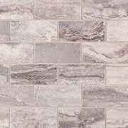 Bernini Carbone Porcelain Tile 2x4
