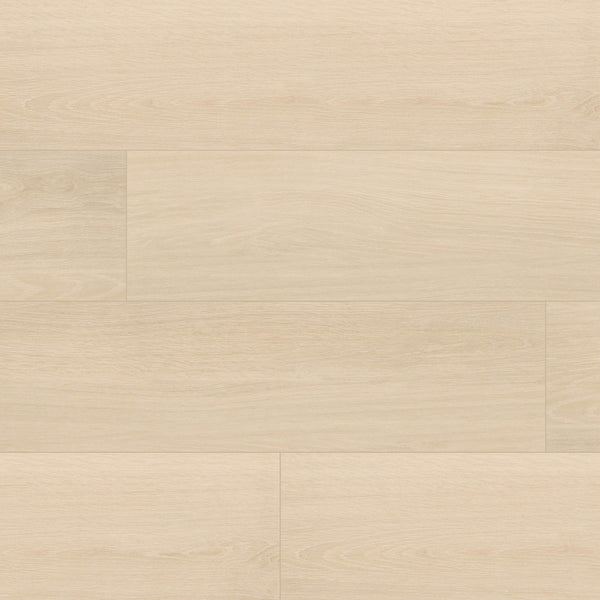 MSI Placero Maple 10 x 60 Matte
