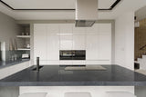 MSI Platinum Black - Quartzite Slab