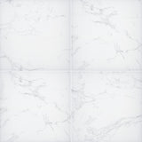 MSI Praia Carrara Porcelain Paver