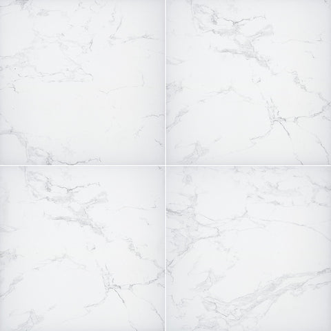 MSI Praia Carrara Porcelain Paver