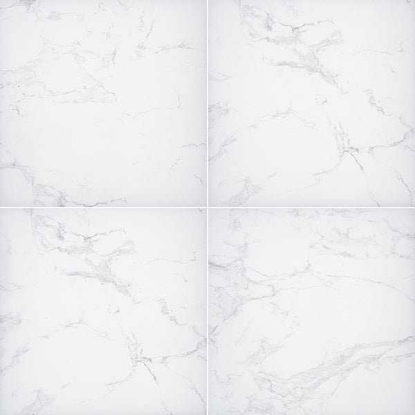 MSI Praia Carrara Porcelain Paver