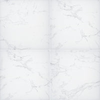 MSI Praia Carrara Porcelain Paver 20mm exterior porcelain paver freeze-thaw stable
