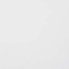 PREMIUM PLUS WHITE QUARTZ