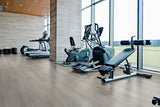 MSI Prescott Brianka Luxury Vinyl Plank Flooring