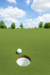 MSI Putting Green Turf 78