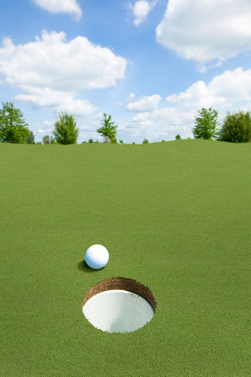 MSI Putting Green Turf 78 — surface detail in green tonality
