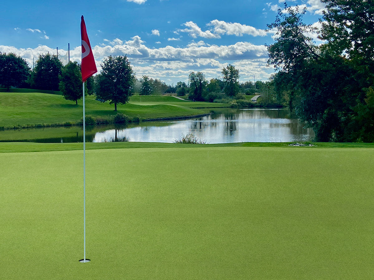 MSI Putting Green Turf 78 — surface detail in green tonality