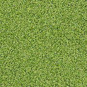 Evergrass Putting Green Turf 78