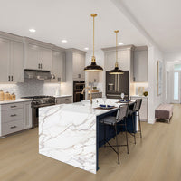 MSI Studio Quillian Luxury Vinyl Plank Flooring — surface detail in natural tonality