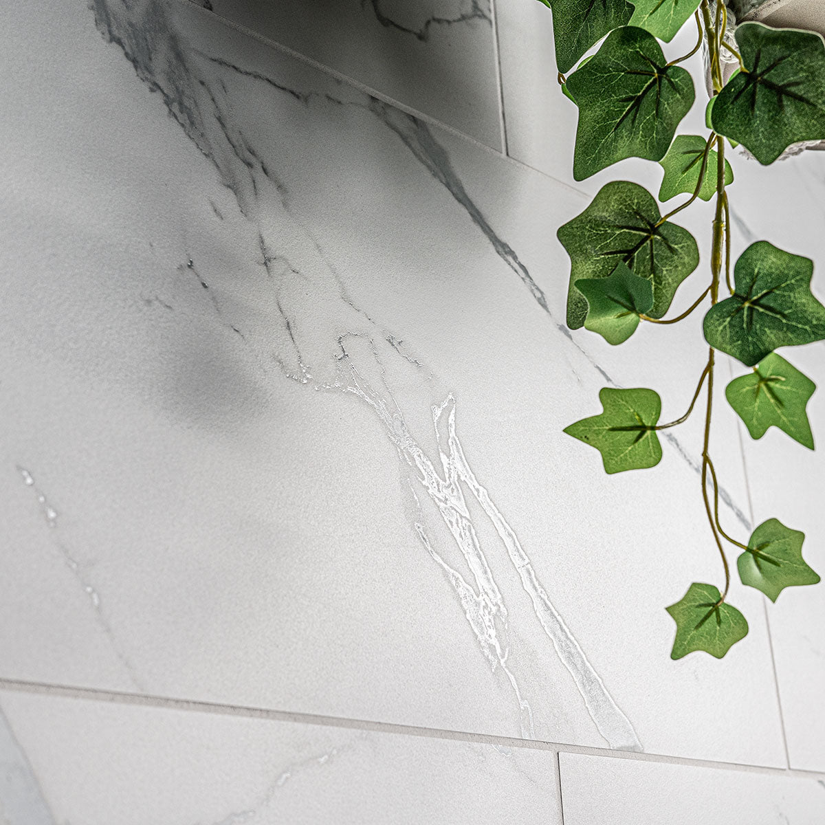 MSI Roman Statuario 12 x 24 Matte — surface detail in natural tonality