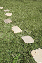 MSI Rustic Canyon Stepping Stone