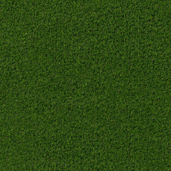 MSI Sage Gold Turf