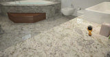 MSI Salinas White - Granite Slab