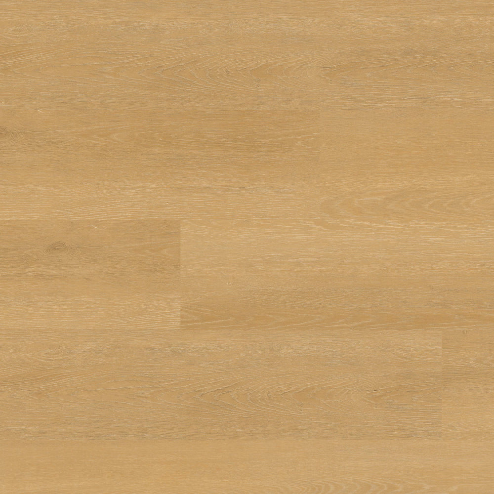 MSI Nove Selbourne Luxury Vinyl Plank Flooring waterproof rigid-core click-lock plank