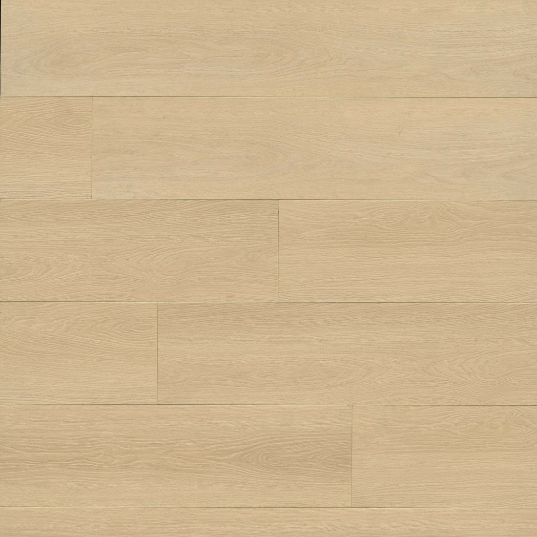 MSI Shorecliffs Houston Trail Rigid Core Flooring