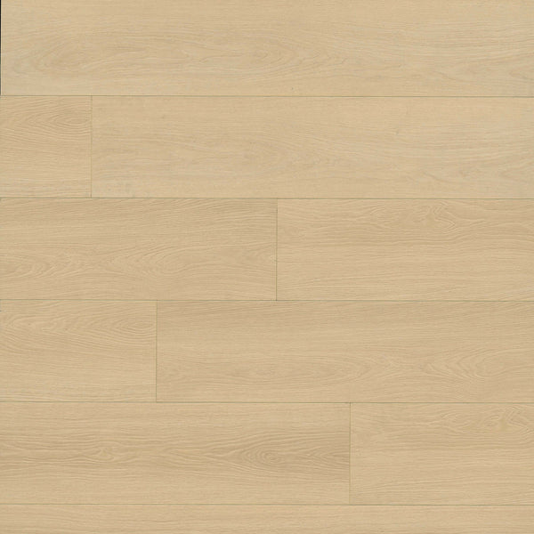 MSI Shorecliffs Houston Trail Rigid Core Flooring