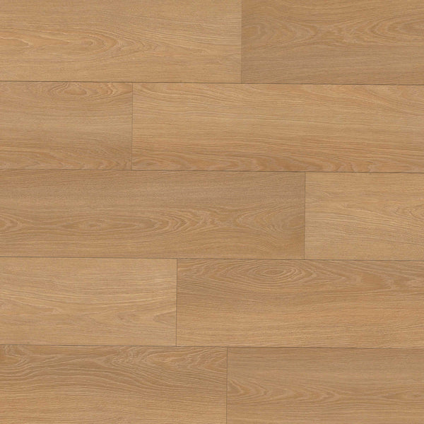 MSI Shorecliffs Wallingford Blonde Rigid Core Flooring