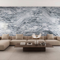 MSI Silver Cloud Granite — surface detail in silver tonality