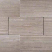 Eramosa Silver Porcelain Tile