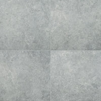 MSI Legions Lunar Silver Porcelain Paver in silver tonality 20mm exterior porcelain paver freeze-thaw stable
