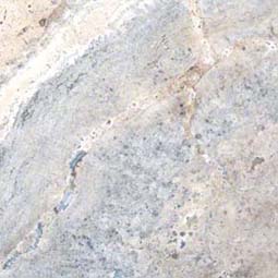 Silver Travertine Travertine Tile