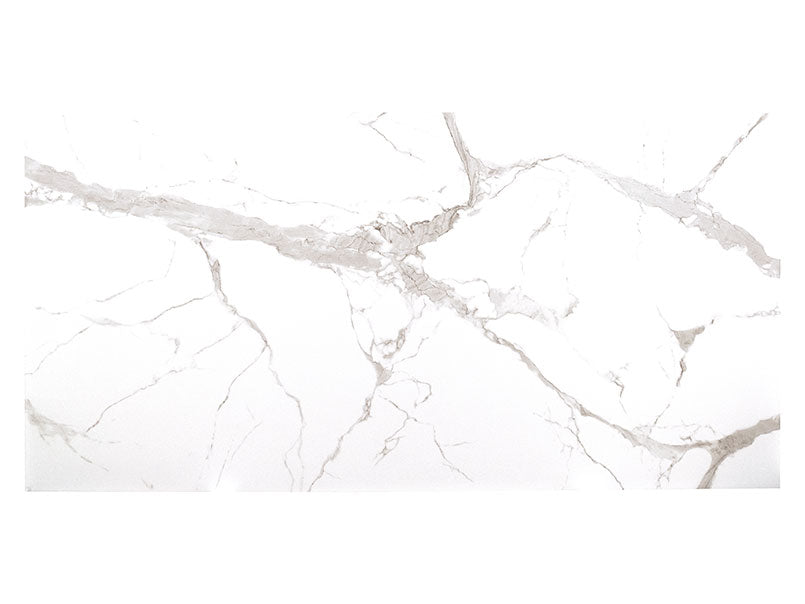 Statuario Silver porcelain slab in landscape format, fine grey veining running the full width against a bright white ground