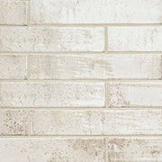 Stella Biscotti 2x10 Glossy